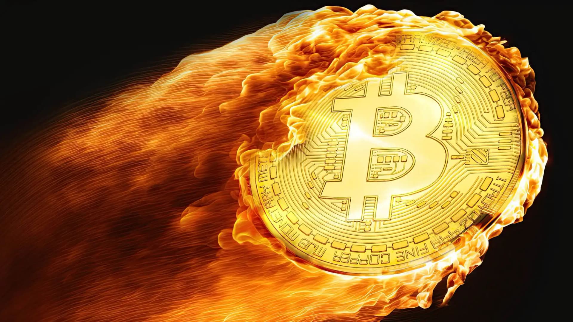Understanding the Dynamics of btc price usd: Key Insights for Traders
