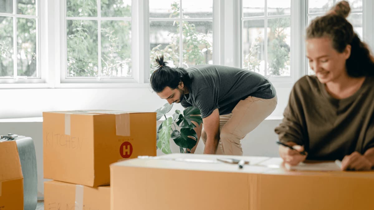 The Ultimate Guide to Understanding Removal Company Quotes