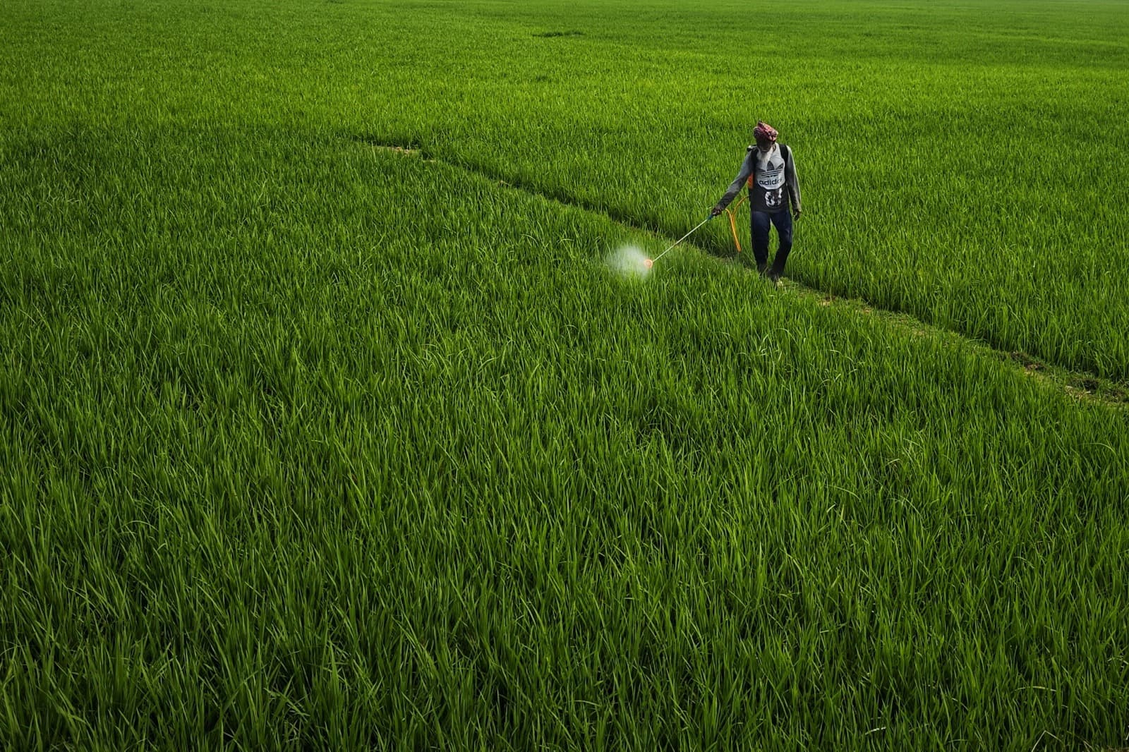 Professional Irrigation Services in Bedford, TX – Reliable Lawn Care Experts