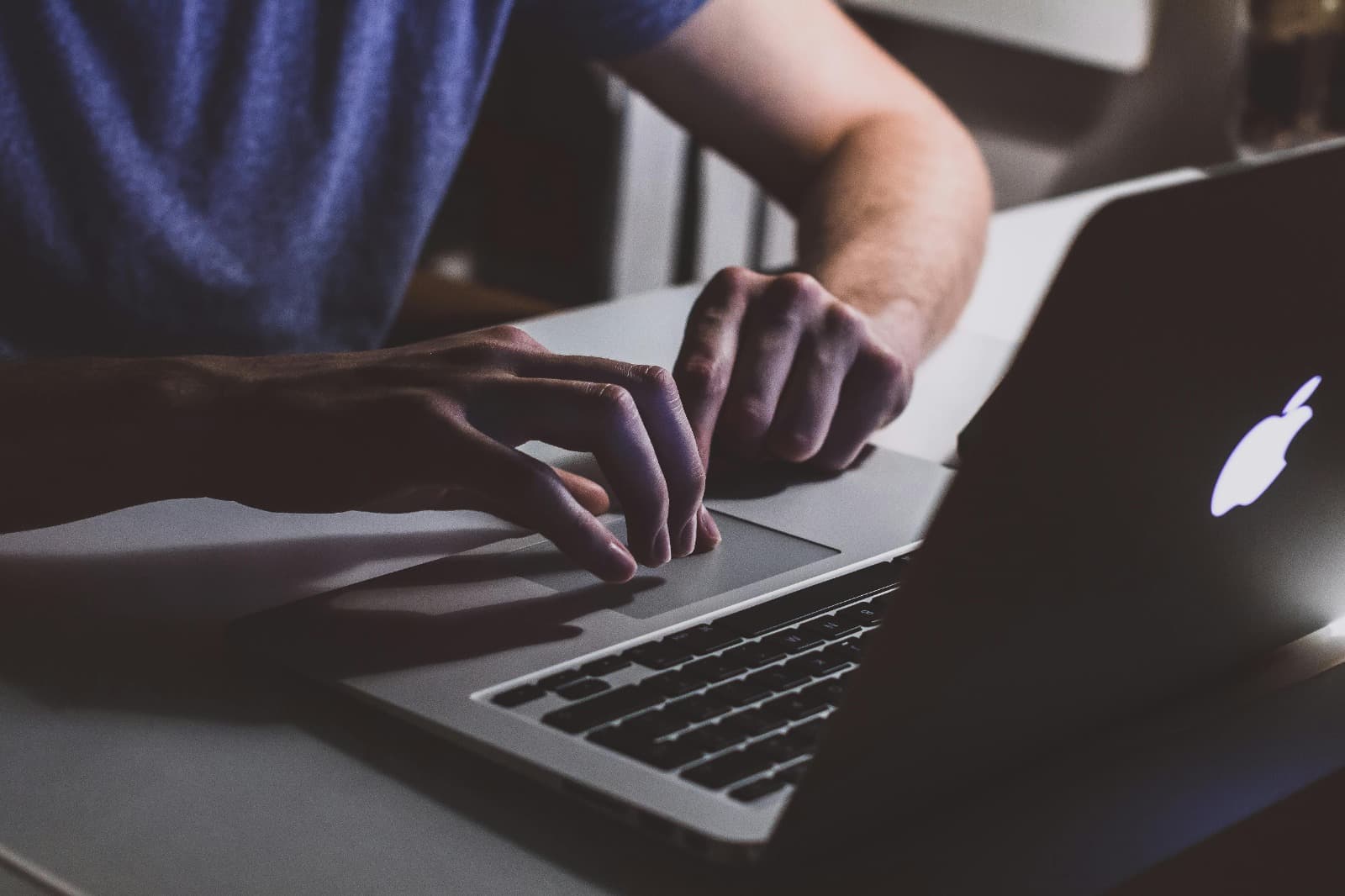 Scalable Wordpress Hosting for Growing Companies