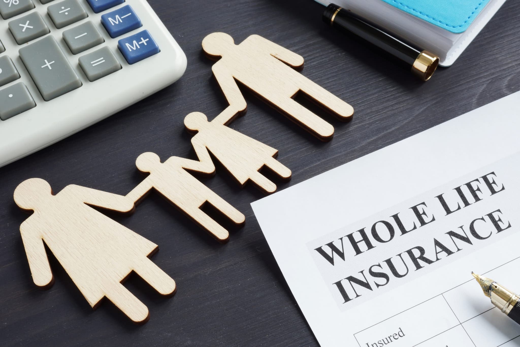 Stein Insurance: Comprehensive Minnesota Insurance Solutions