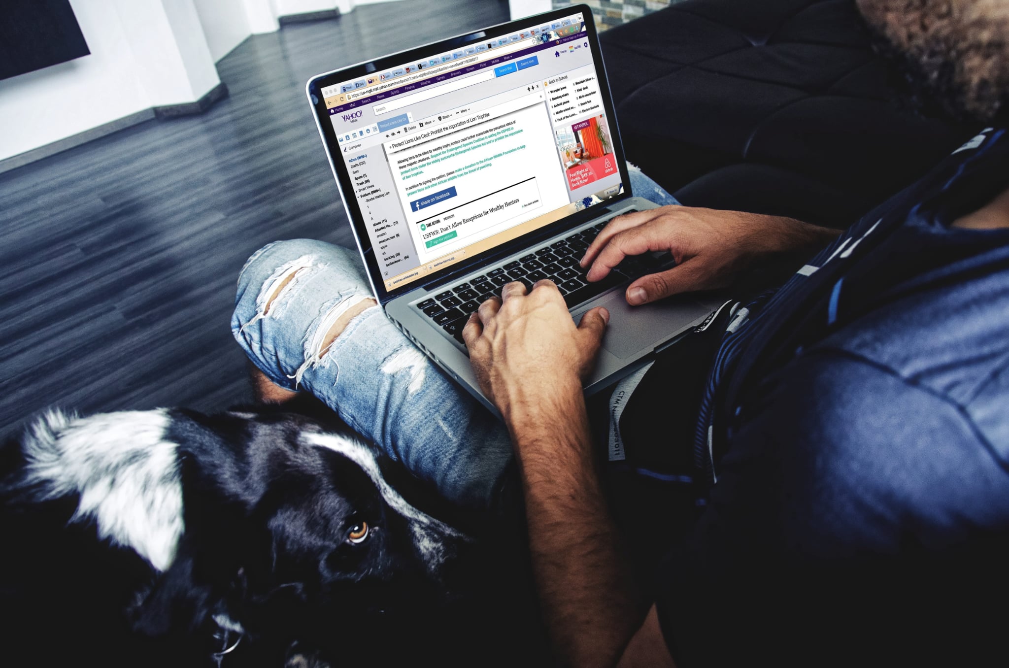 What Is WordPress and How It Helps Grow Your Online Presence