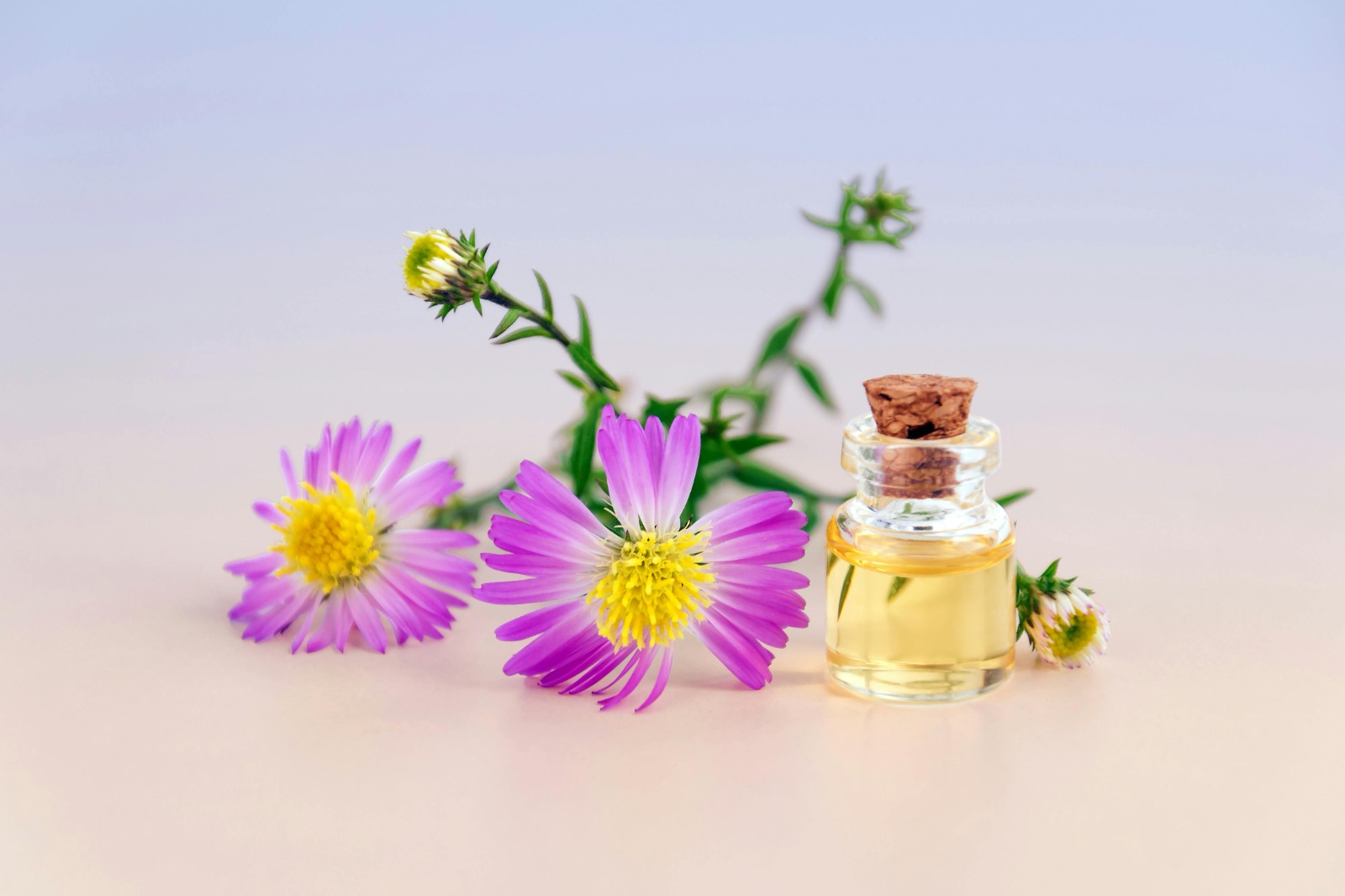 Parfums De Marly Layton Decant: Royal Elegance in Every Spray