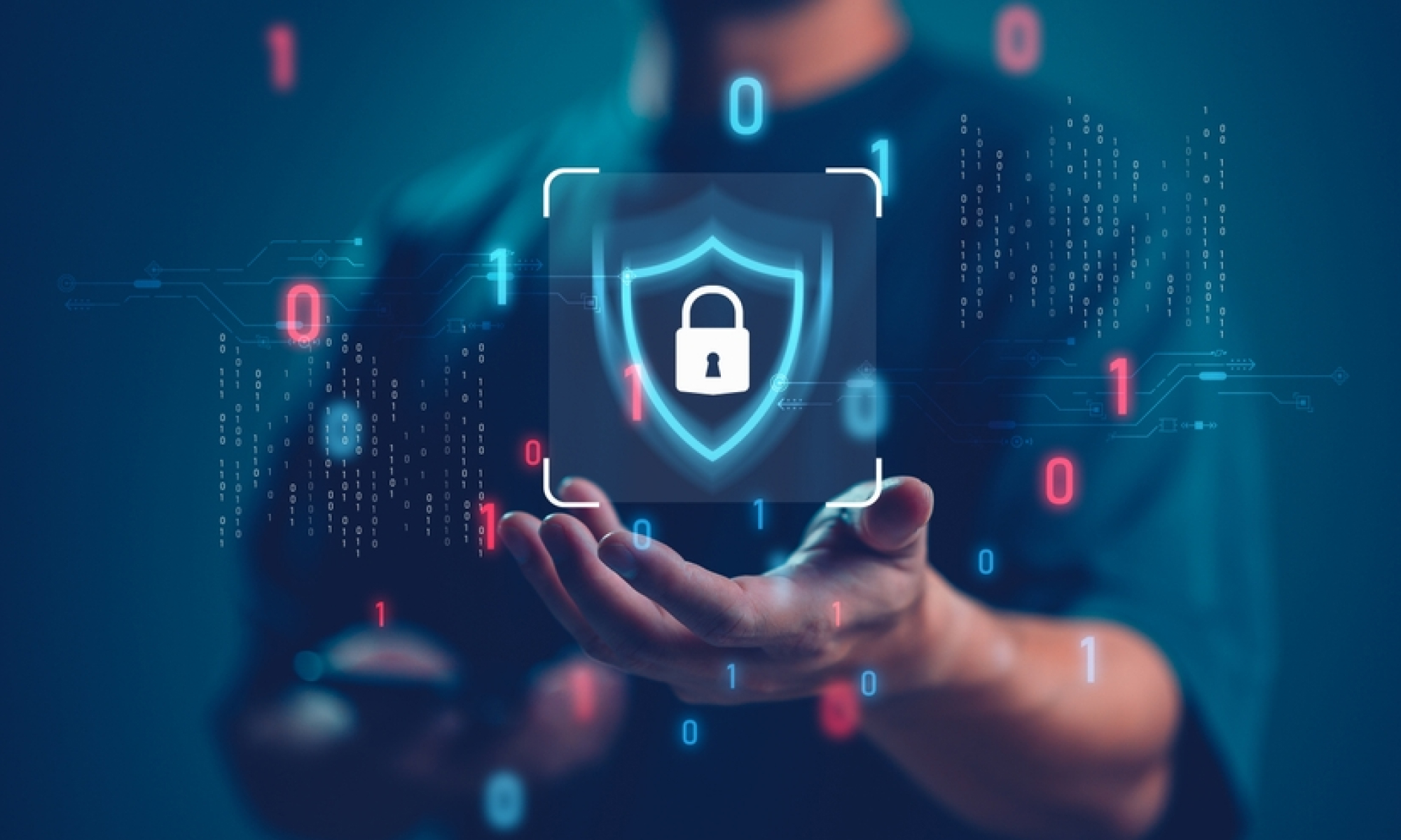 The Rising Popularity of Digital Privacy Gear in Today’s Privacy Hardware Store