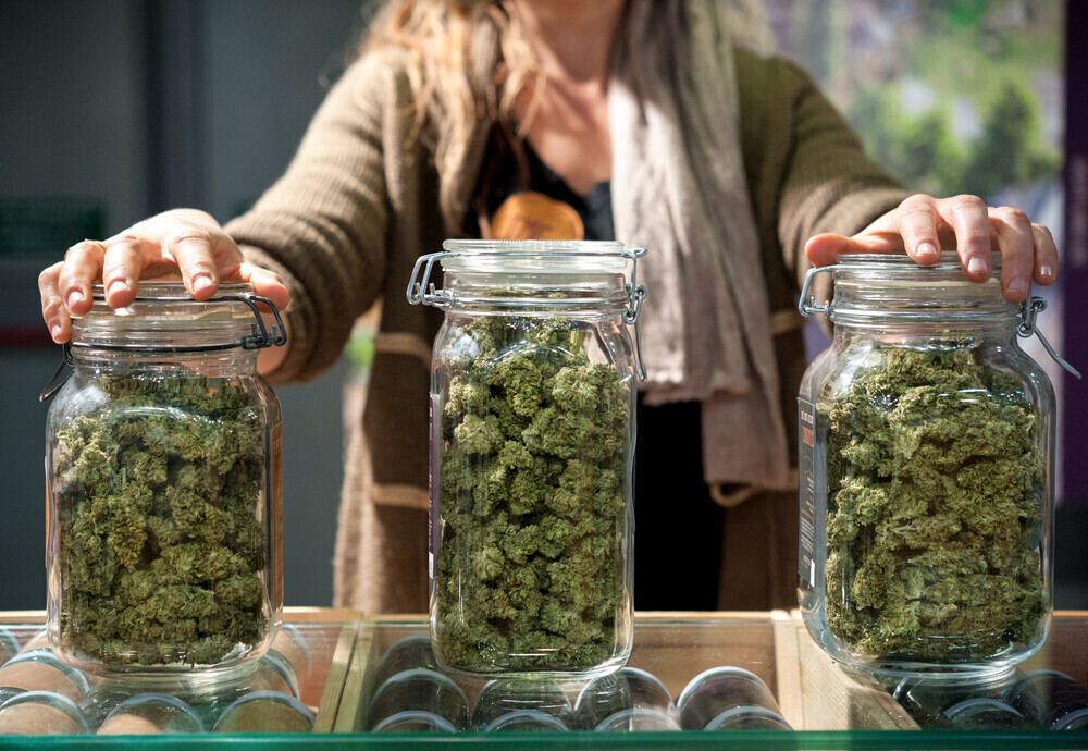 How Locals Choose Premium CBD Madrid