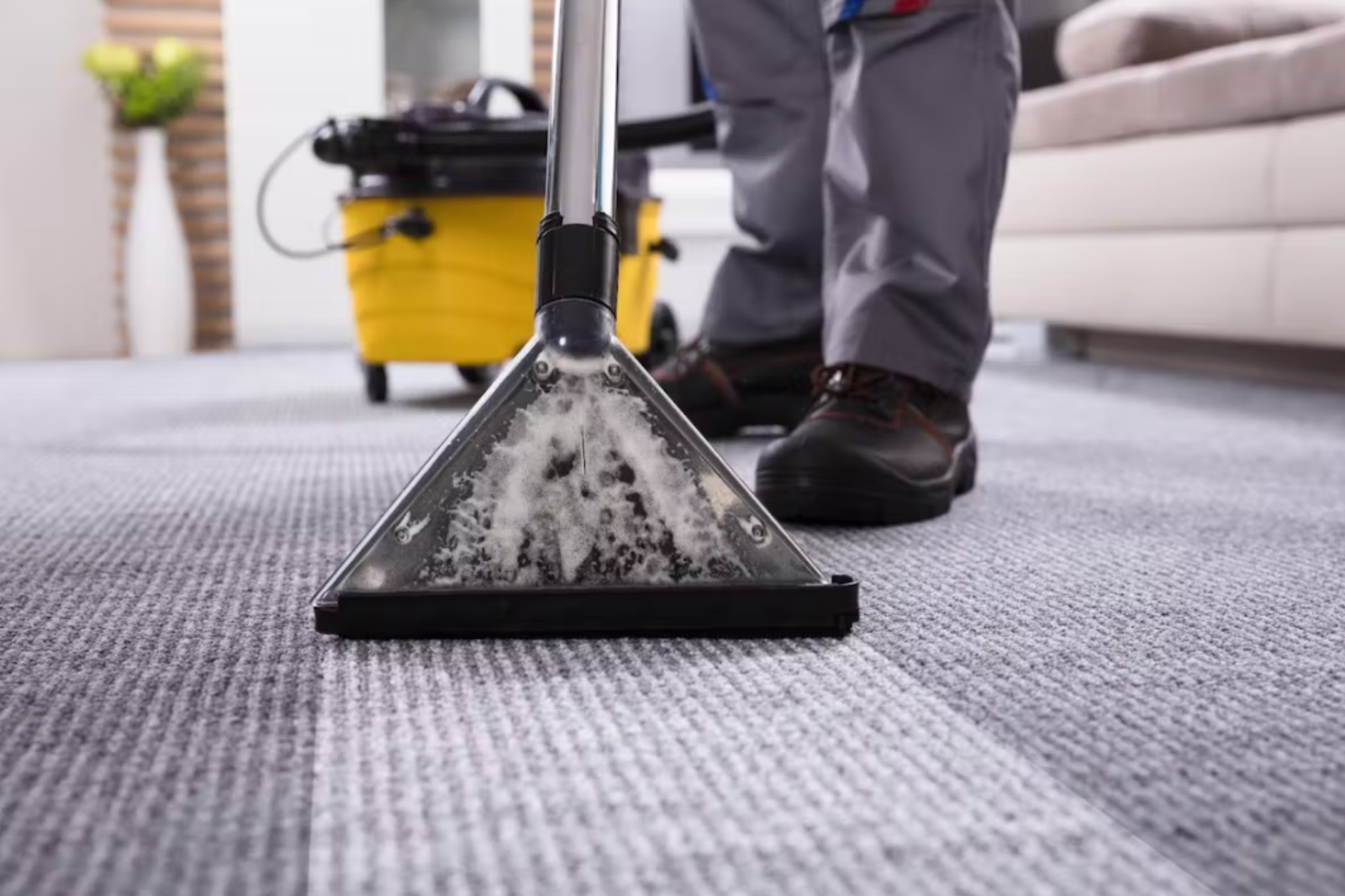 Affordable Carpet Cleaners Roseville CA – Exceptional Results