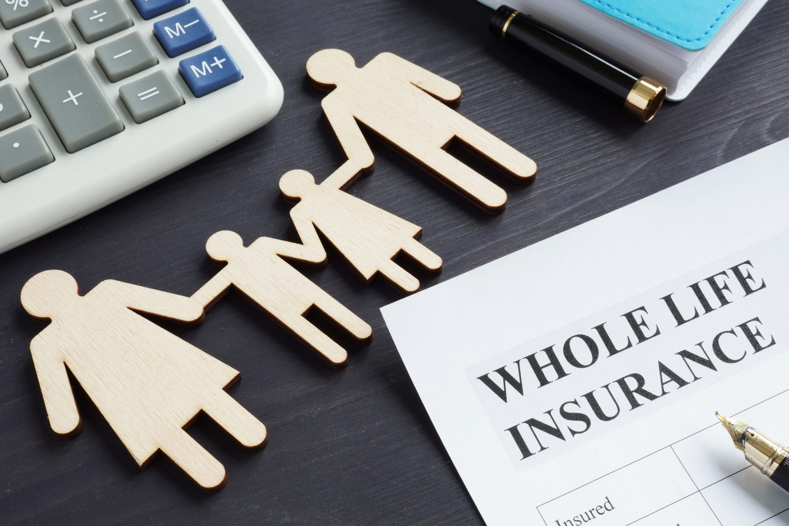 Stein Insurance: Comprehensive Minnesota Insurance Solutions