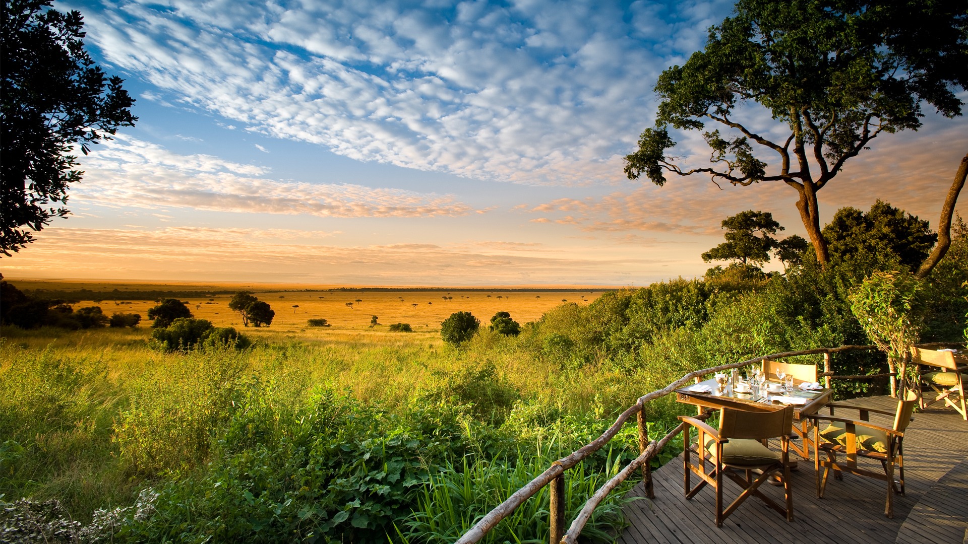 African Safari Tours Designed for Luxury and Adventure