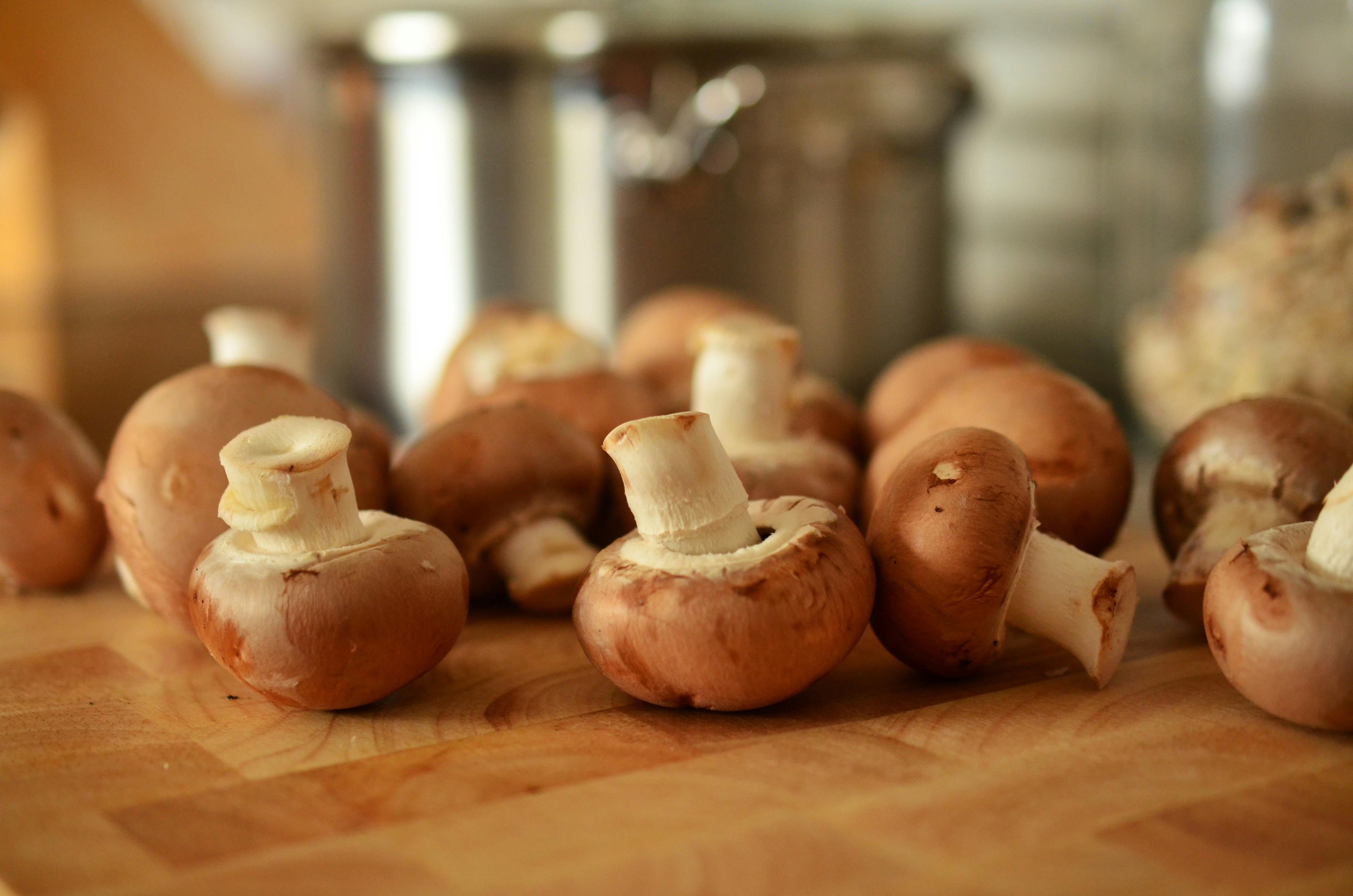 EXPLORING THE WORLD OF MUSHROOMS IN MODERN CULINARY ART