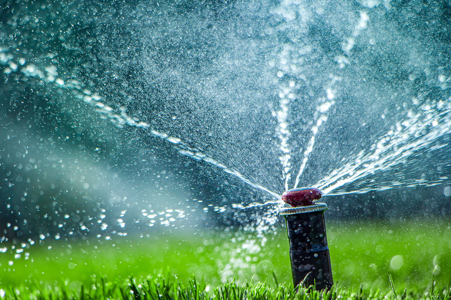 The Sprinkler Company Inc | High-Quality Sprinkler Systems Installed