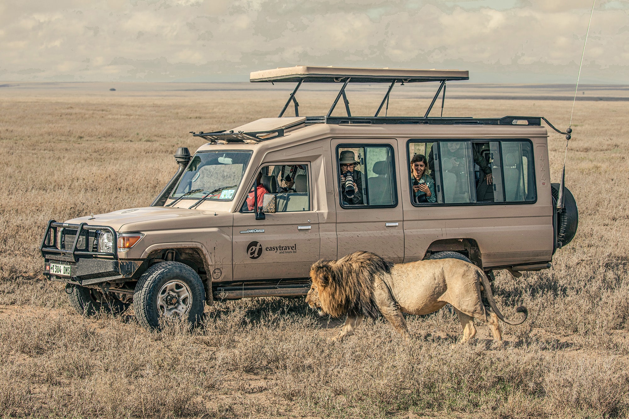 Tanzania Safari Tours with Deep Local Wildlife Knowledge
