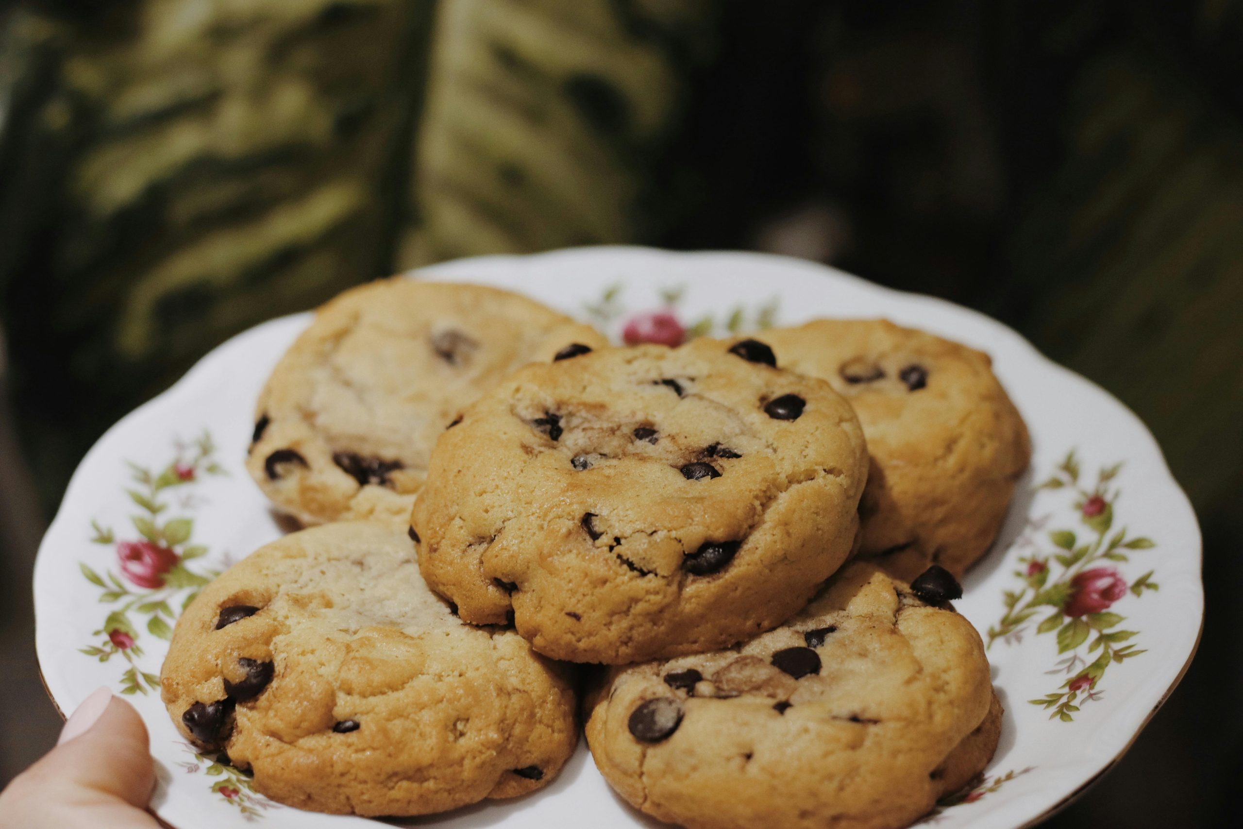 Turn Every Moment into an Indulgent experience with Gourmet Cookies